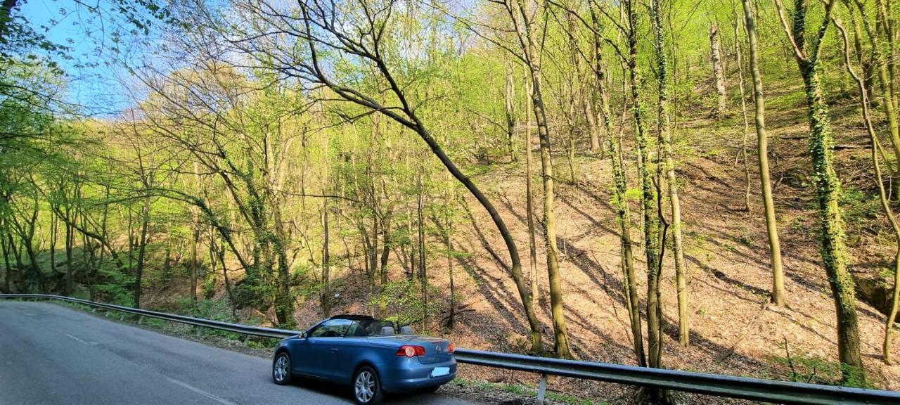Hos-Cegledi Vendeghaz Miskolc -Oenallo Otthon, Mely Csak Az Oenoeke ภายนอก รูปภาพ