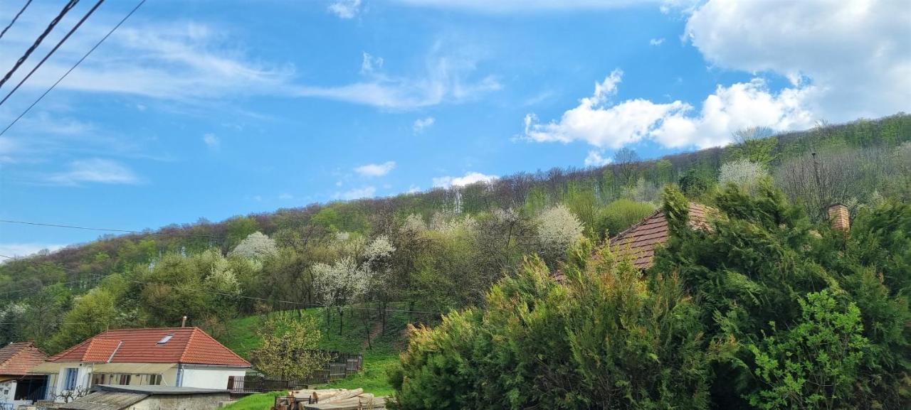 Hos-Cegledi Vendeghaz Miskolc -Oenallo Otthon, Mely Csak Az Oenoeke ภายนอก รูปภาพ